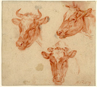 AA 071b
<br/>
Drie studies van koeiekoppen
<br/>
<em>Plas, Pieter (1810-1853)</em>